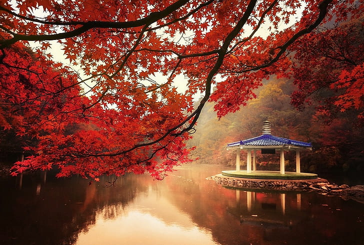 Nature, Landscape, Fall, Trees, Lake, Hill, Maple Leaves, Red, Mist, Water