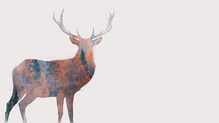 deer painting, brown and black deer deer, digital art, animals, HD wallpaper