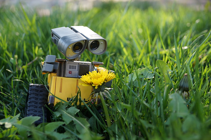 Wall-E robot, grass, flower, camera - Photographic Equipment, HD wallpaper