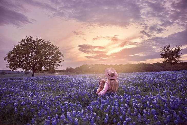 field, the sky, trees, sunset, flowers, dog, hat, girl, lupins, HD wallpaper