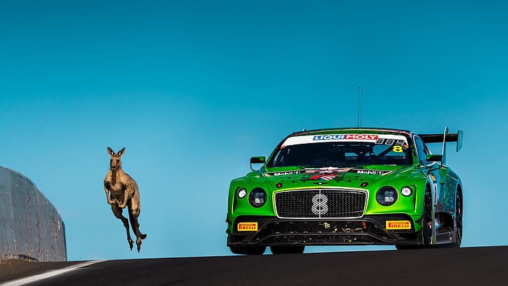 Bentley, Continental, Continental GT, Race, Green, Clear Sky, HD wallpaper