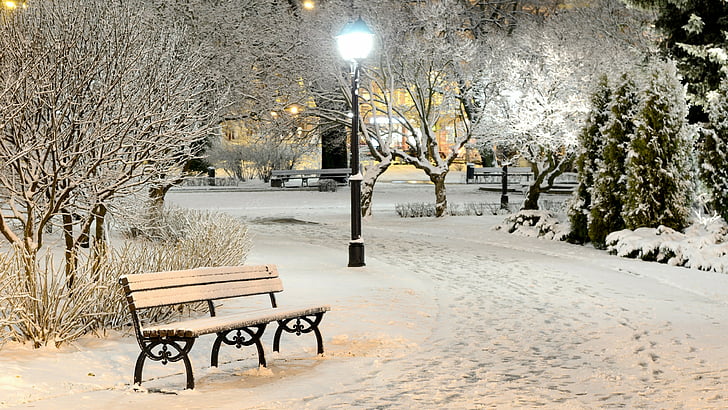 bench, park, street lights, streetlight, snow, winter, snowy
