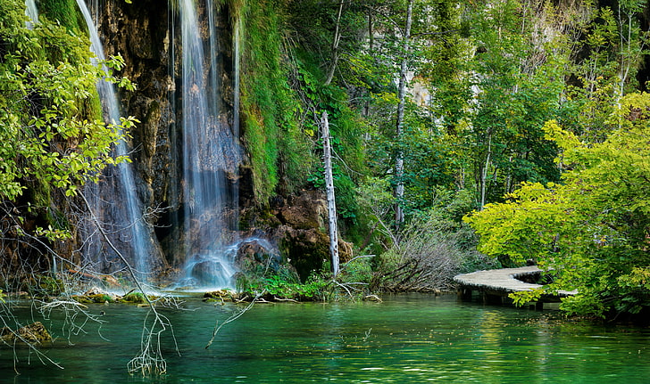 body of water, forest, lake, stones, rocks, waterfall, bridges