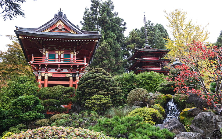 red pagoda temple, Japan, pavilion, red leaves, architecture