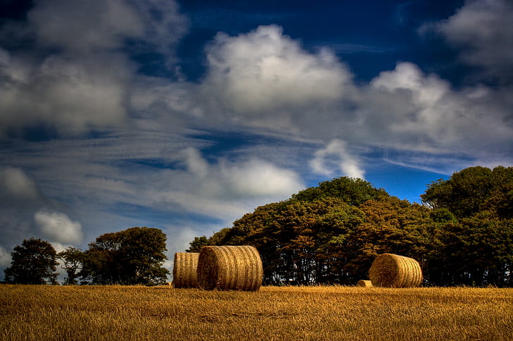 hay bale on brown grass near green trees under blue sky and white clouds
