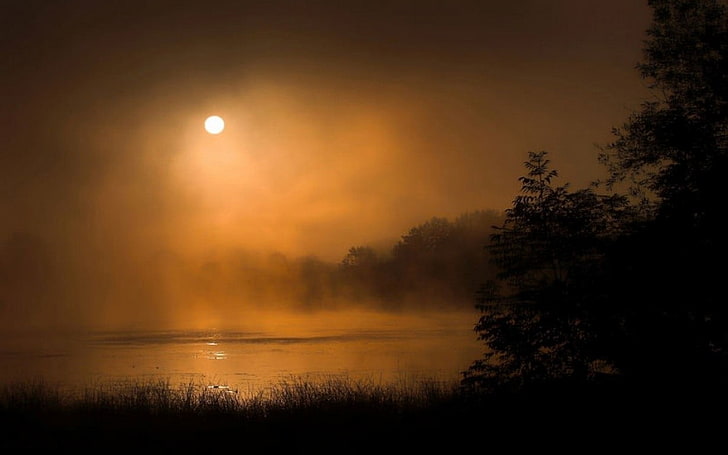 moonlight during golden hour, mist, lake, nature, Slovenia, trees, HD wallpaper