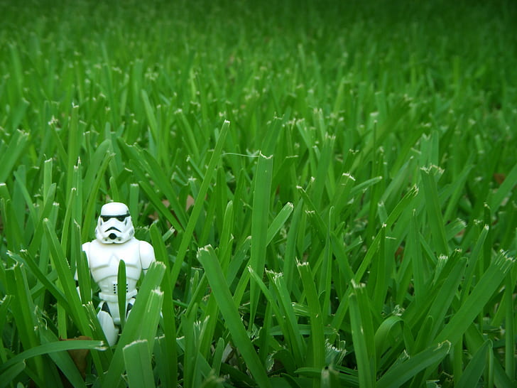 stormtrooper figure on grass, Lawn, Won, Star Wars, star  wars, HD wallpaper