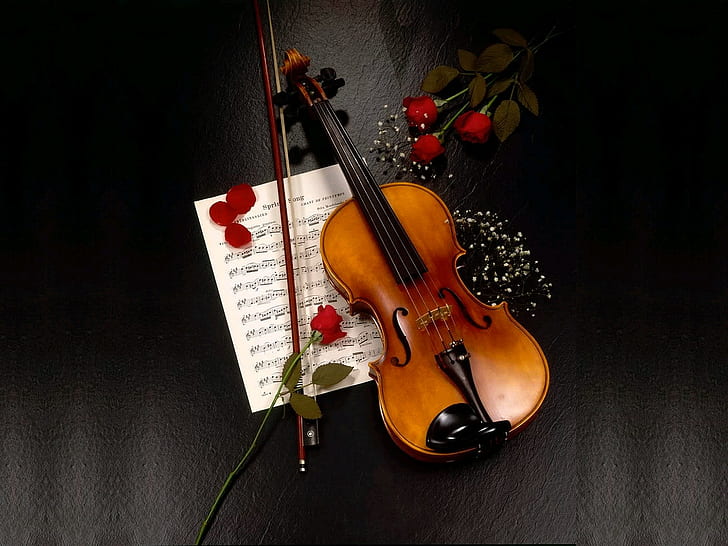 HD wallpaper: violin | Wallpaper Flare