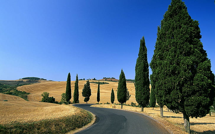 Italy: Winding Country Road In Monticchiello, Pienza, fields