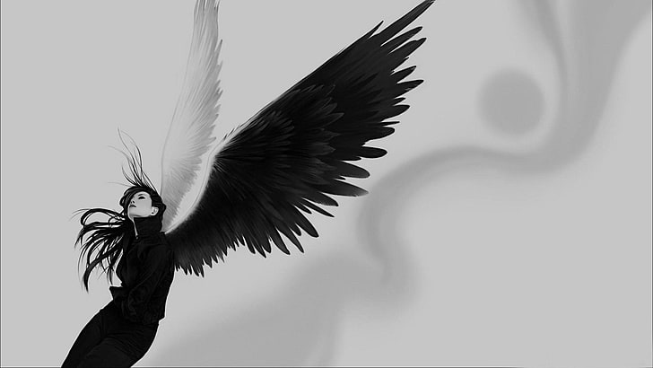 angel illustration, monochrome, black, wings, angel wings, studio shot