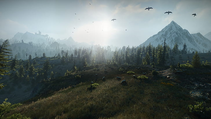 The Witcher, The Witcher 3: Wild Hunt, Skellige