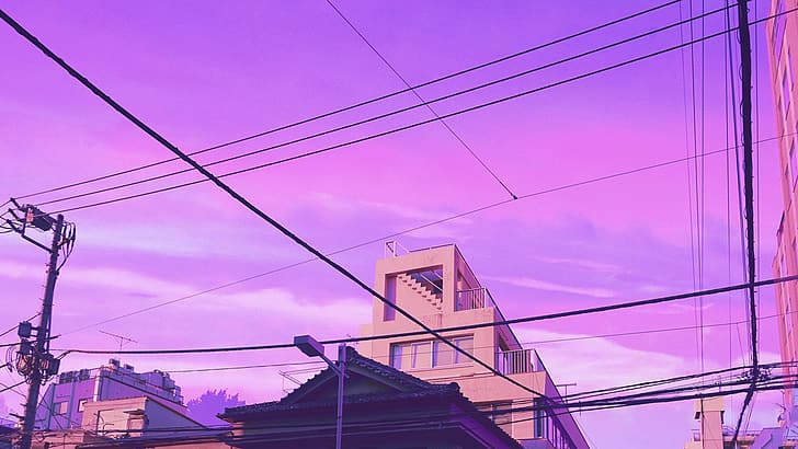 purple sky, wires, HD wallpaper
