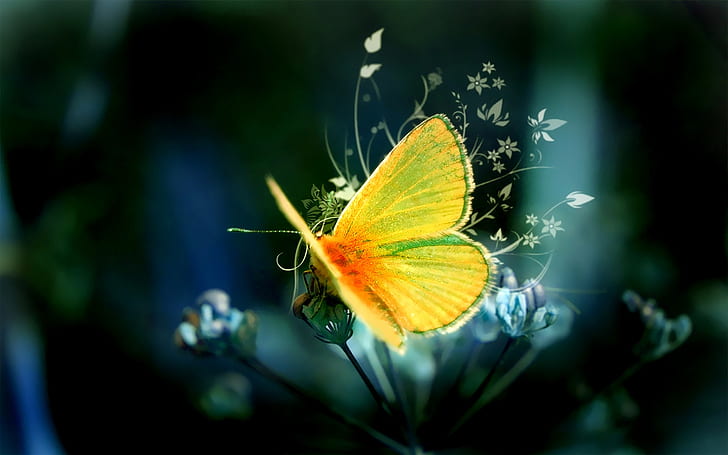 Art design yellow butterfly, HD wallpaper