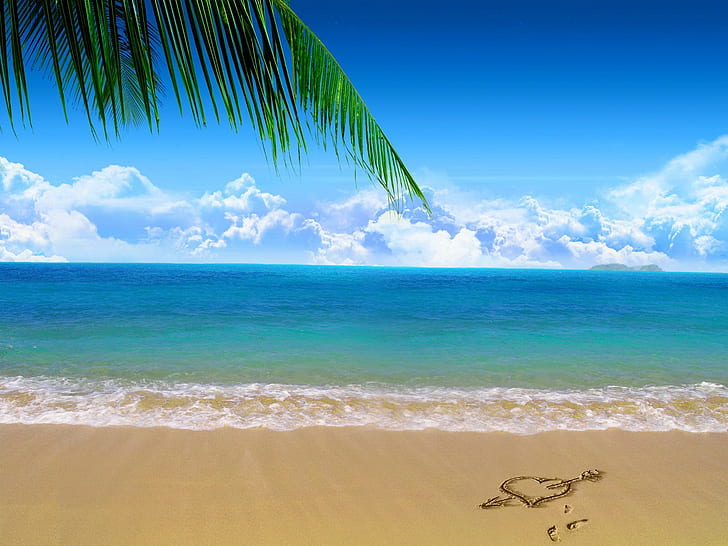 island, sand, beach, palm trees, sea, HD wallpaper