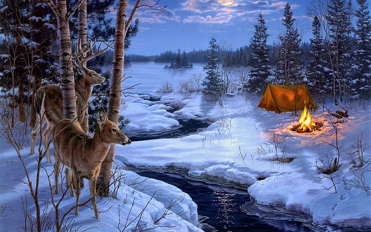 Darrell Bush Moon Shadows Painting Winter Snow Animals Deer Pictures For Desktop, HD wallpaper