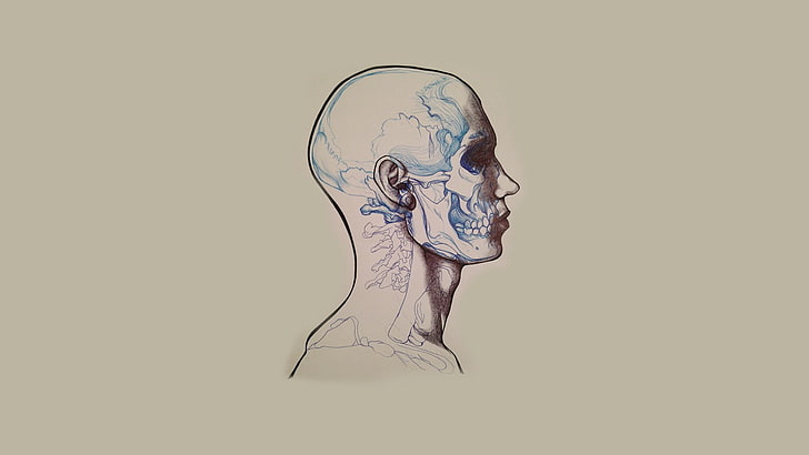 painting of head, skull, minimalism, artwork, studio shot, digital composite