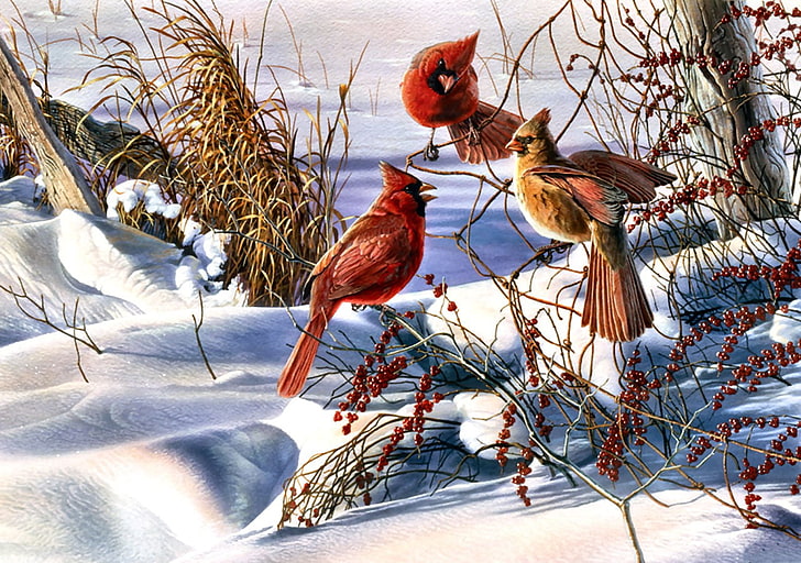 red cardinal bird painting, Christmas, Cardinals, birds, snow, HD wallpaper