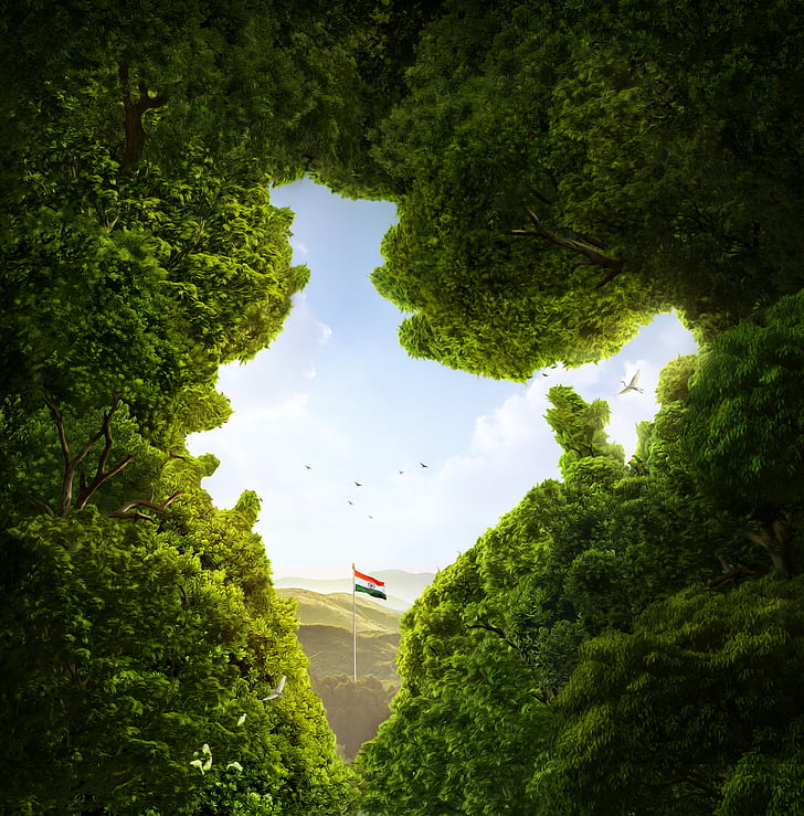 HD wallpaper: green leaf tree, India, Flag of India, Trees, CGI, HD |  Wallpaper Flare