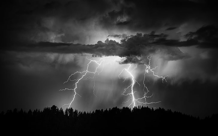 lightning strike, forest, the sky, night, clouds, cloud - sky, HD wallpaper