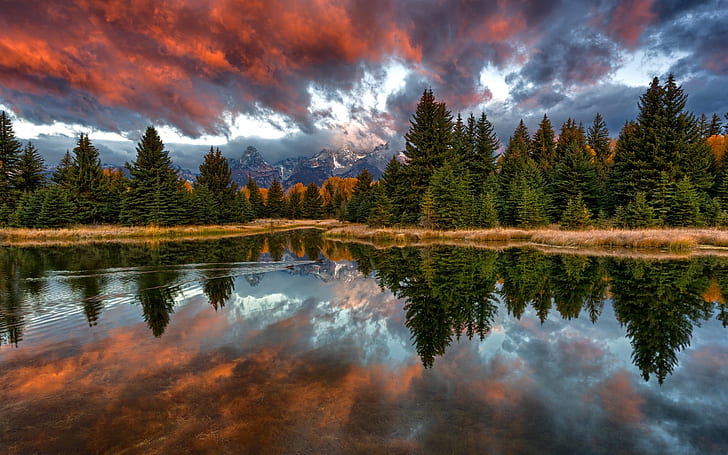 USA, Wyoming, Grand Teton National Park, snake river, trees, mountains, HD wallpaper