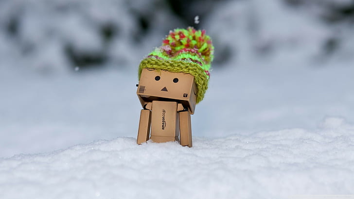 Danbo, snow, woolly hat