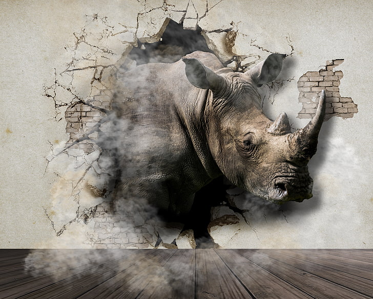 rhinoceros, cracks, wall, art, mammal, animal, animal themes, HD wallpaper