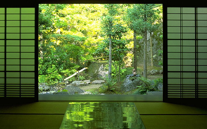 forest, nature, Zen, plant, tree, window, day, no people, architecture