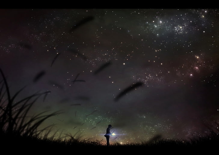 person standing on field under starry sky wallpaper, anime, night