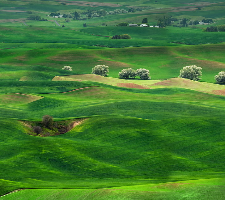Grassland, Huawei Mate 10, Landscape, Stock, Scenery, Greenery HD wallpaper