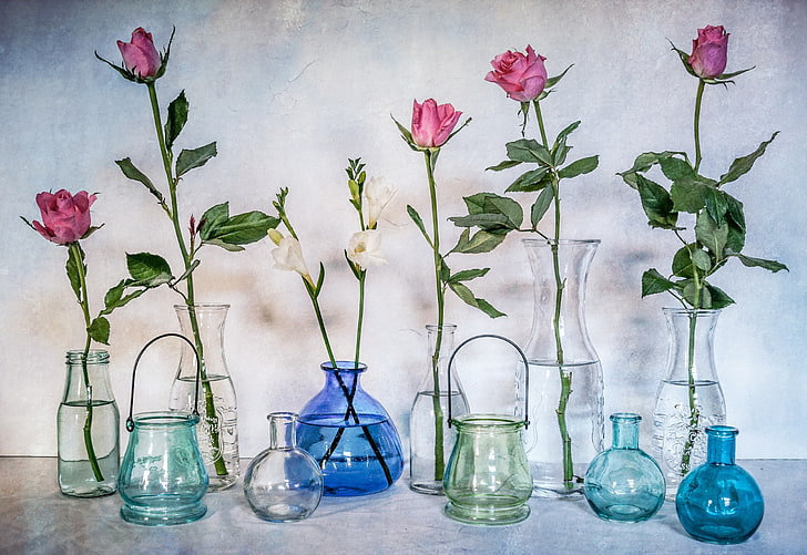 still life, vases, flowers, plant, flowering plant, vulnerability, HD wallpaper