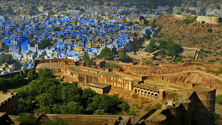 india, cityscape, jodhpur, blue city, asia, tree, built structure