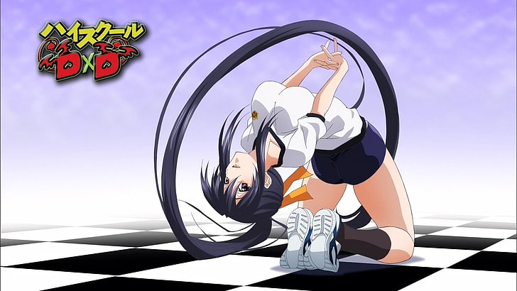 Steam Workshop::4K Anime Vid - Akeno Himejima (High School DxD) #4
