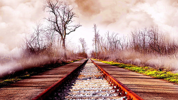 autumn, railway, gravel, mist, railroad, tree, the way forward, HD wallpaper