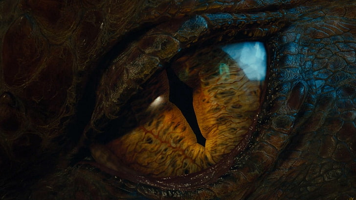dragon eye wallpaper, Smaug, The Hobbit, eyes, movies, animal themes, HD wallpaper