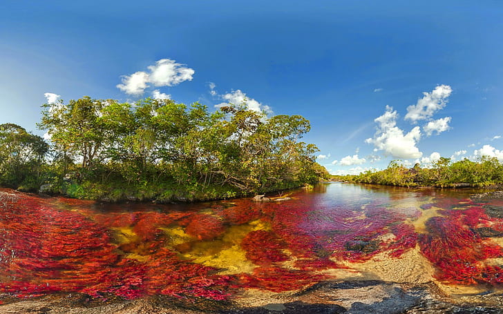 River Cano Cristales Unique In The World Are Latin American Country Colombia Liquid Rainbow Tributary Of The River Guayabero