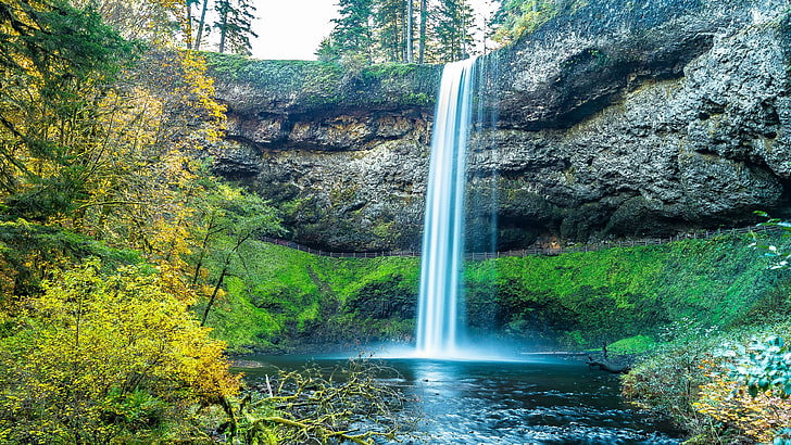 waterfall, nature, silver falls state park, body of water, oregon