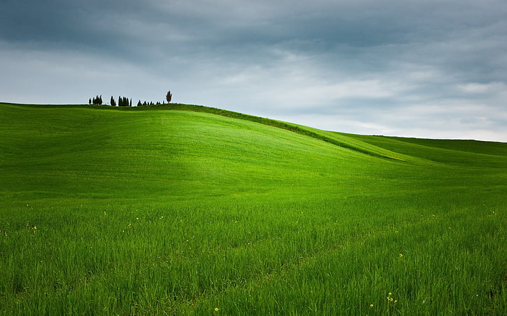full hd nature backgrounds 1920x1200, cloud - sky, grass, green color, HD wallpaper