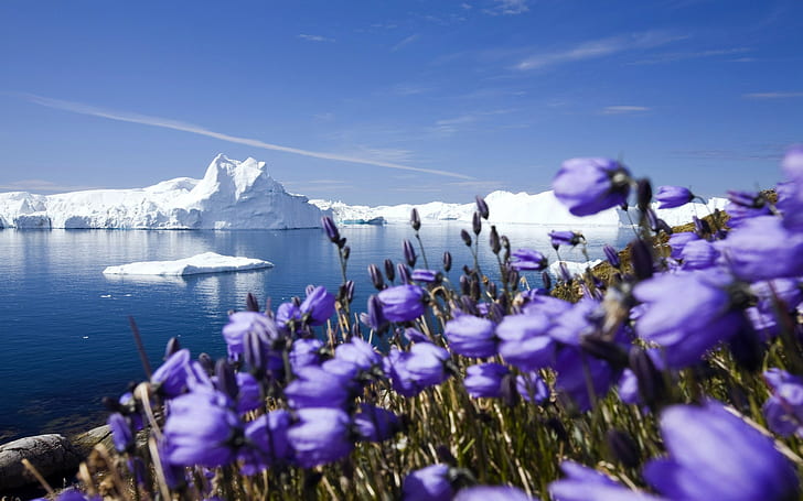 landscape, nordic landscapes, iceberg, spring, nature, HD wallpaper