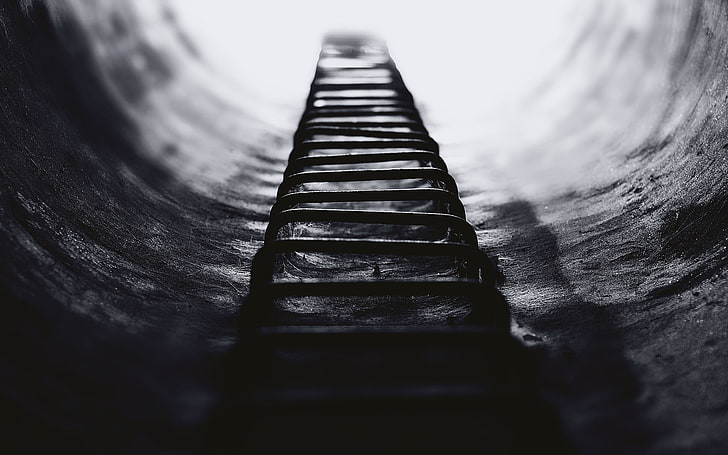 grayscale photo of metal ladder, ladders, depth of field, blurred