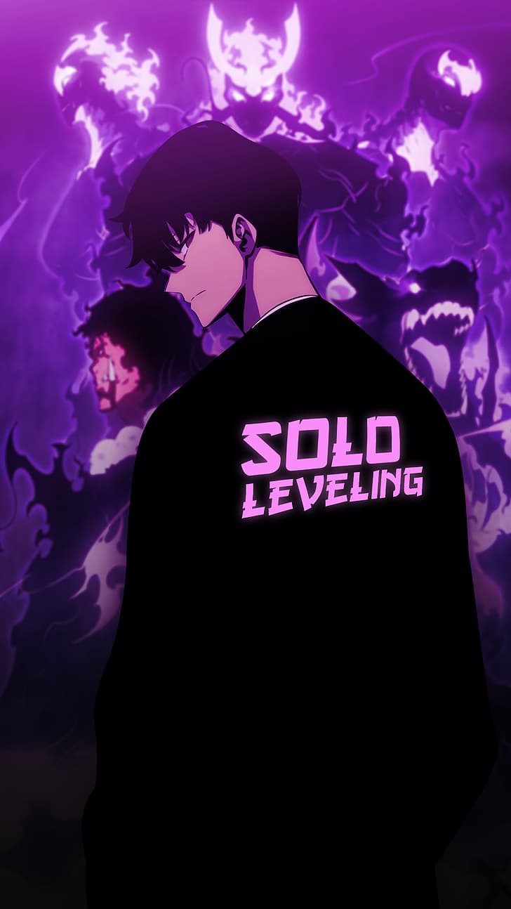 HD wallpaper: Solo Leveling, Sung Jin Woo | Wallpaper Flare