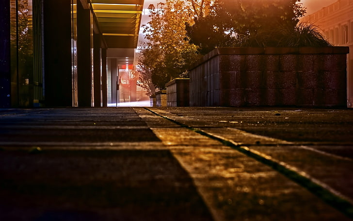street, sunlight, artificial lights, trees, path, blurred, architecture, HD wallpaper