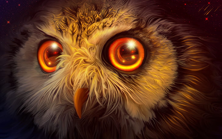Mystic Owl 4K, HD wallpaper