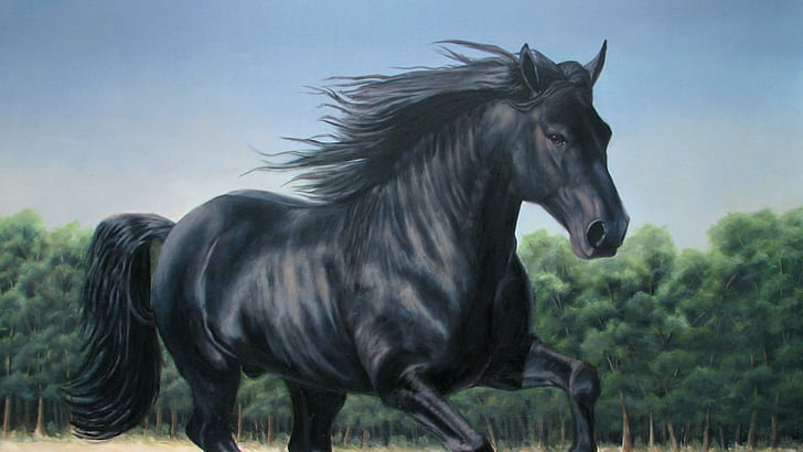 Black Horse, pets, horses, meadow, nature, stallions, animals, HD wallpaper