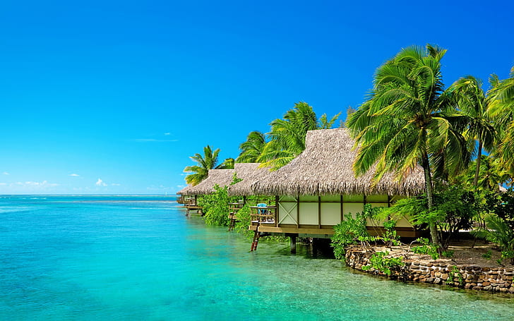 Exotic Resort, brown nipa hut, landscape, sea, palms, ocean, HD wallpaper
