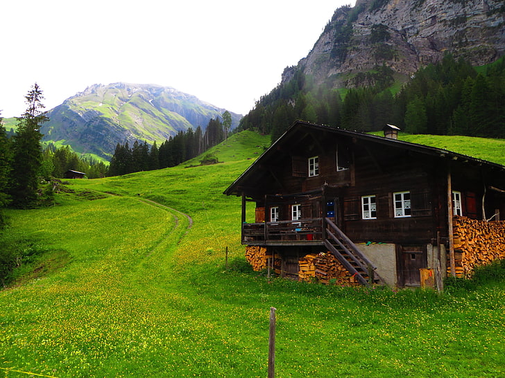 Switzerland, Lenk, chalet, green, grass, pine trees, mountains, HD wallpaper