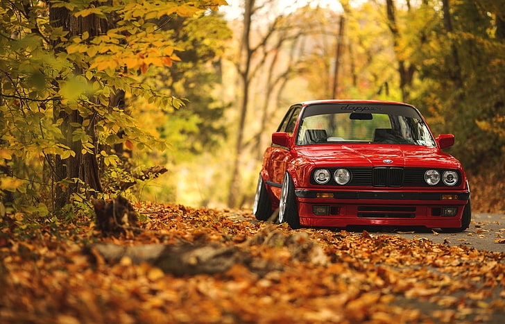 red BMW sedan, road, autumn, forest, leaves, E30, tree, transportation