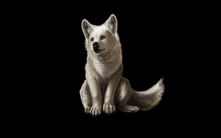 Little White Wolf, gray wolf, beautyful, predator, arctic, artwork