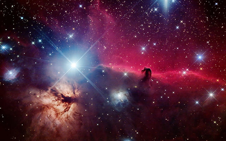 beautiful, horsehead, nebula, space, stars