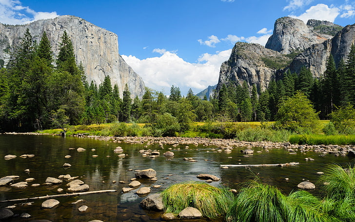 Yosemite Valley-National Park-California-USA-mountain-river riverbed rocky-mountain-forest with pine trees-Desktop Wallpaper HD-3840×2400