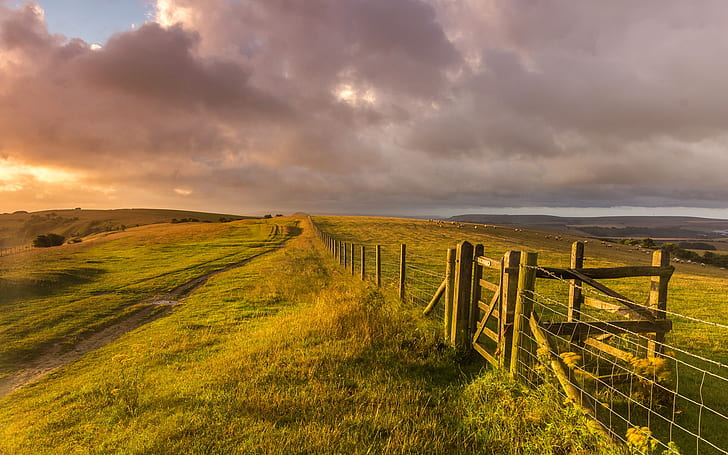 West Sussex, England, landscape, grass, fence, farm, sheep, HD wallpaper